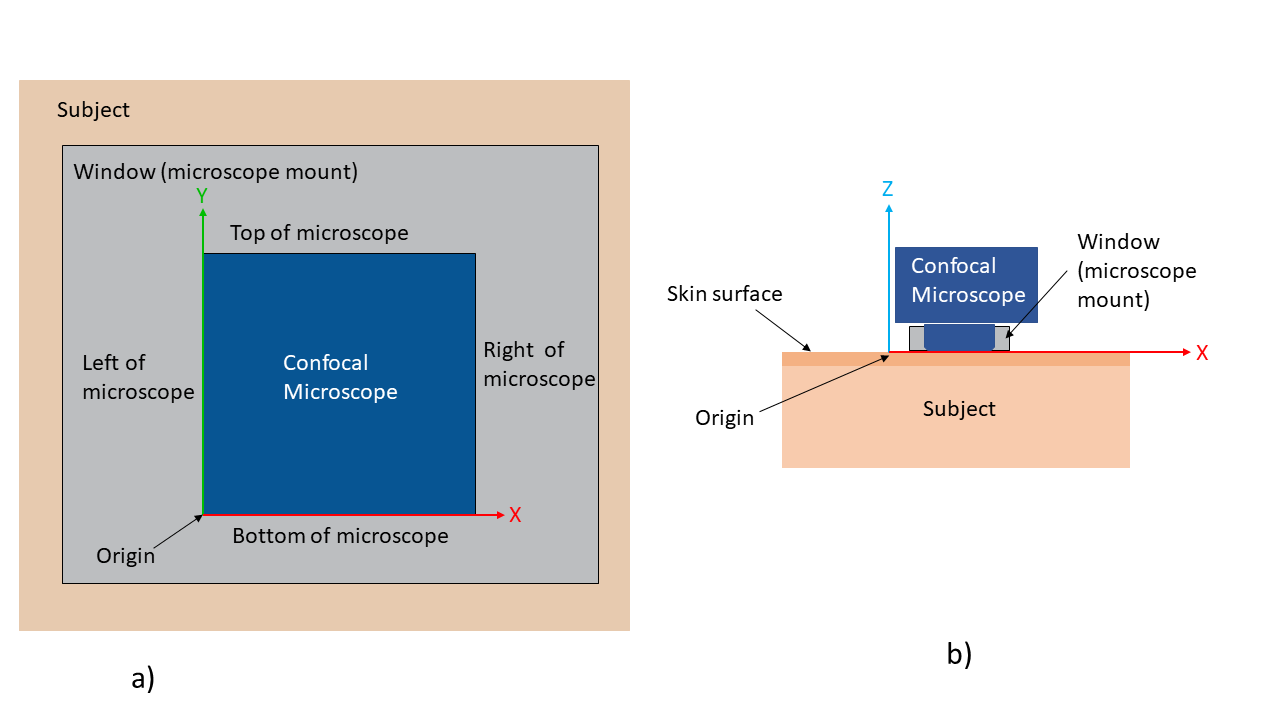 In-vivo microscopy coordinates a) is a front on view b) is top-down view of in-vivo imaging